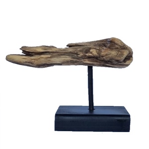 web1_005_x01_300 Escultura2